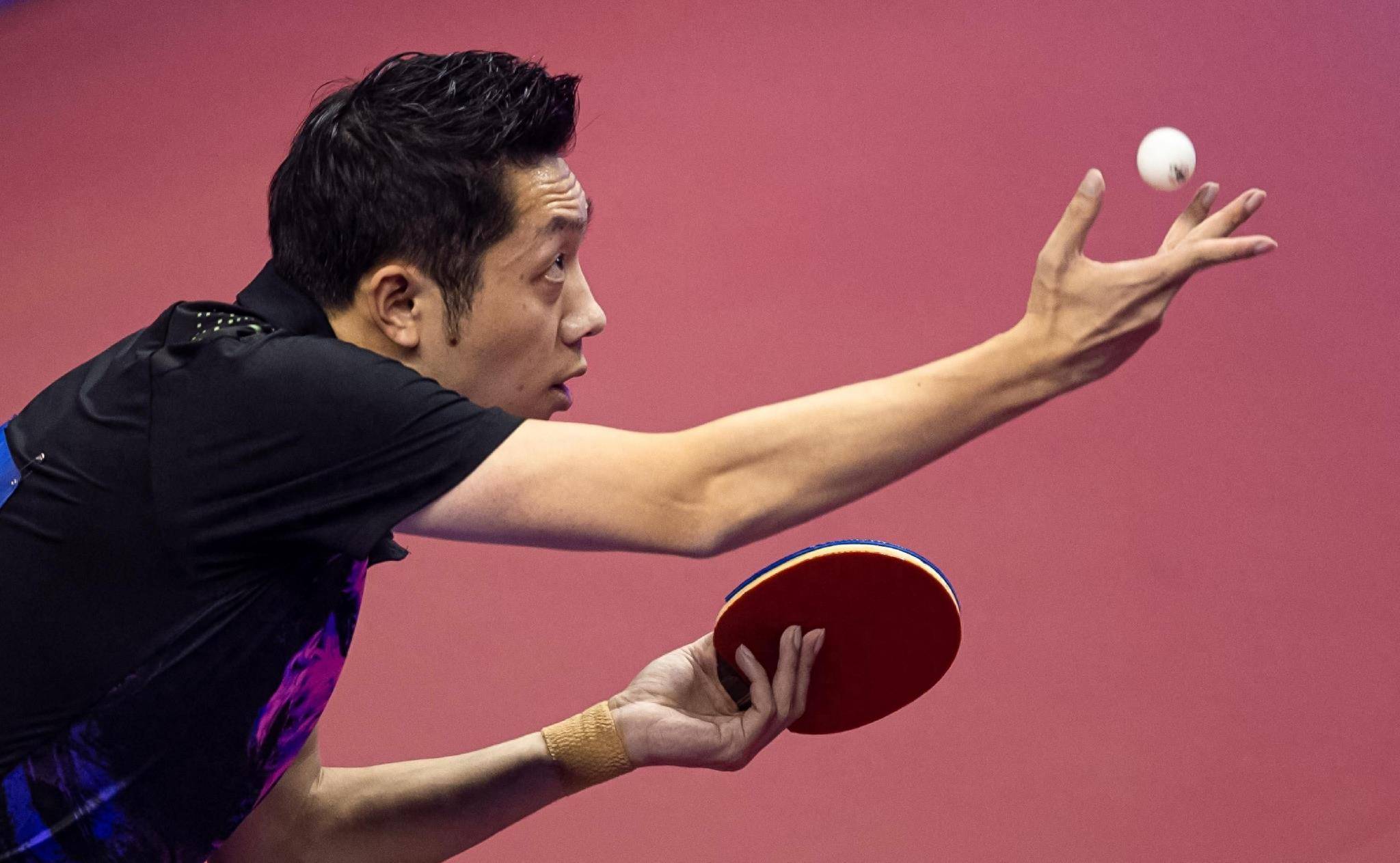 开云官网-法国乒乓球队强势德国乒乓球队,许昕统治全场的简单介绍